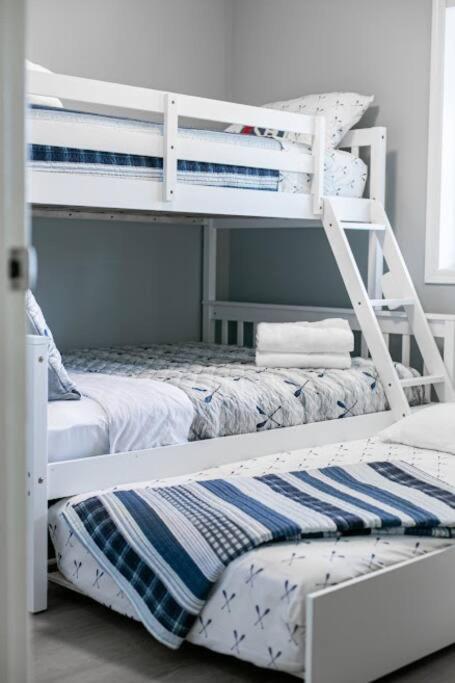 Lovely 2 Bedroom Suite Steps From The Beach 維多利亞 外观 照片